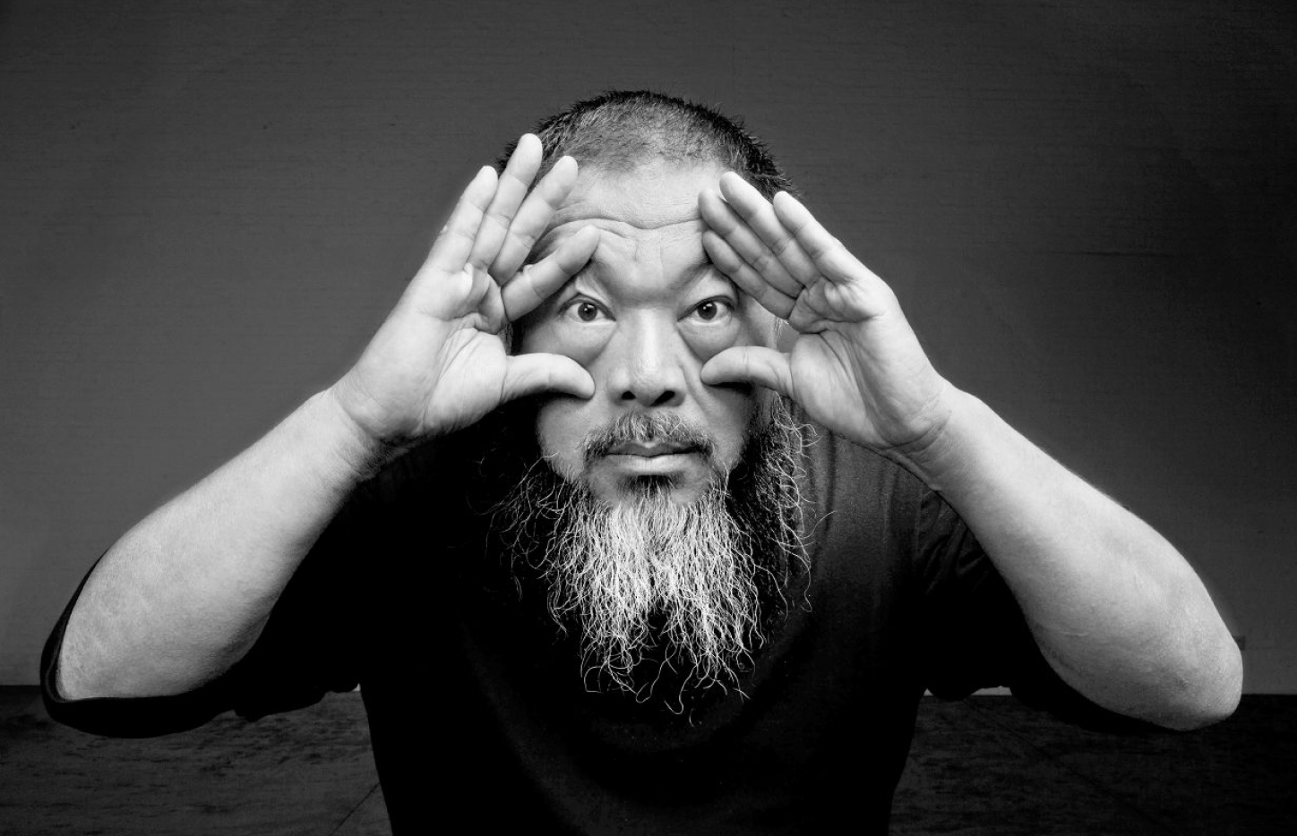 Ai WeiWei